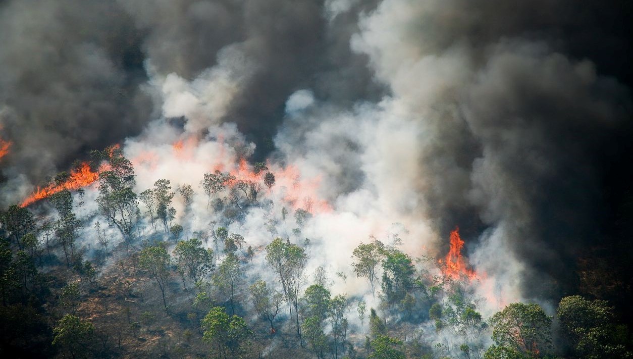 Güney Kore’de 15 hektar ormanlık alanın ziyan gördüğü yangına müdahale sürüyor