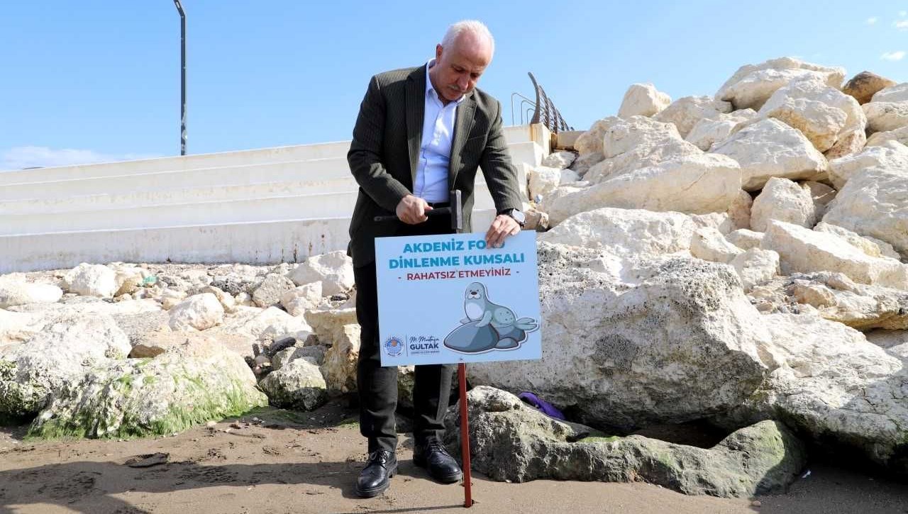Mersin’de Akdeniz fokları için ikaz tabelası dikildi