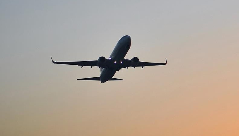THY uçağından acil iniş: Alkollü yolcu kabin memuruna saldırdı