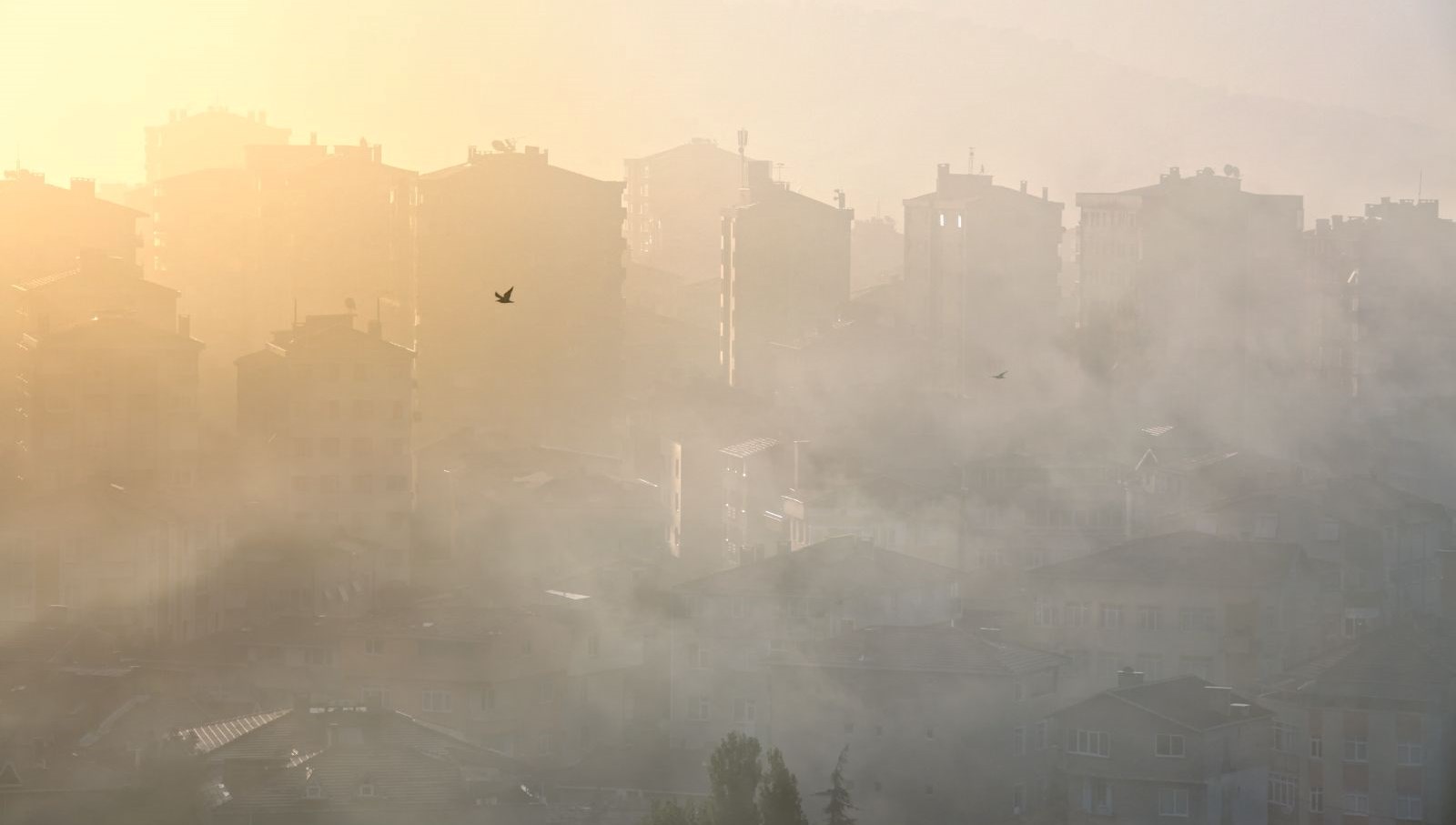 Türkiye’de 5 vilayette hava kirliliği alarmı