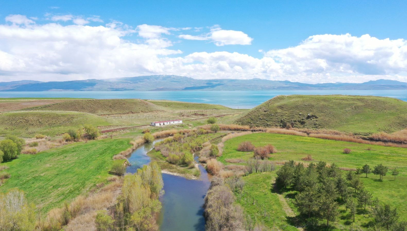 İnci kefalinin Van Gölü’nden tatlı sulara göçü başladı