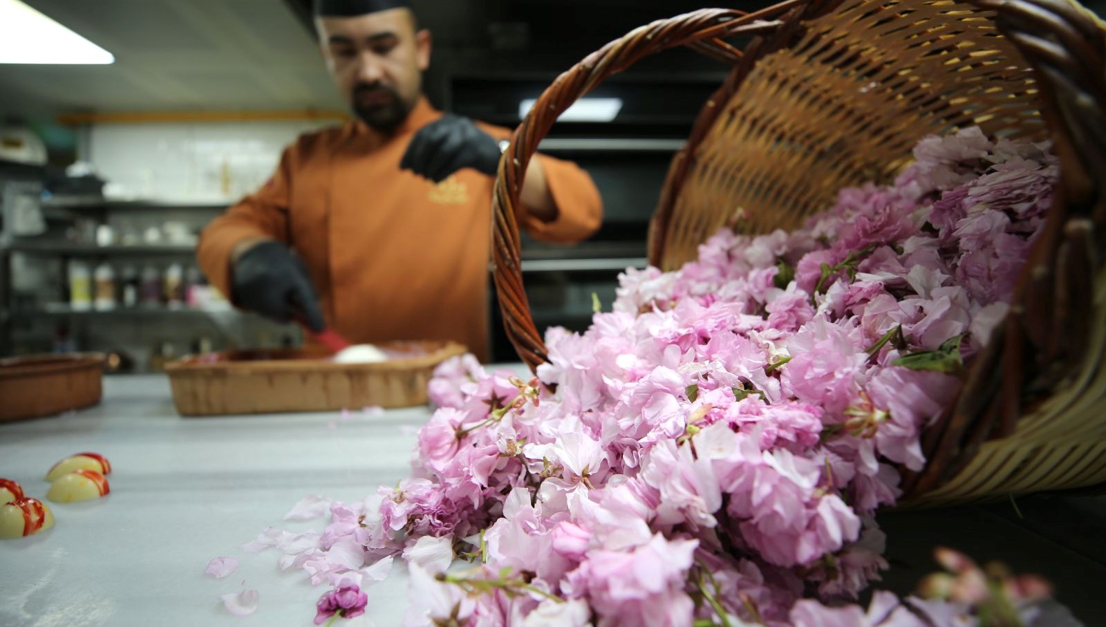 Kapadokya’da sakura çiçekleri lezzete dönüşüyor