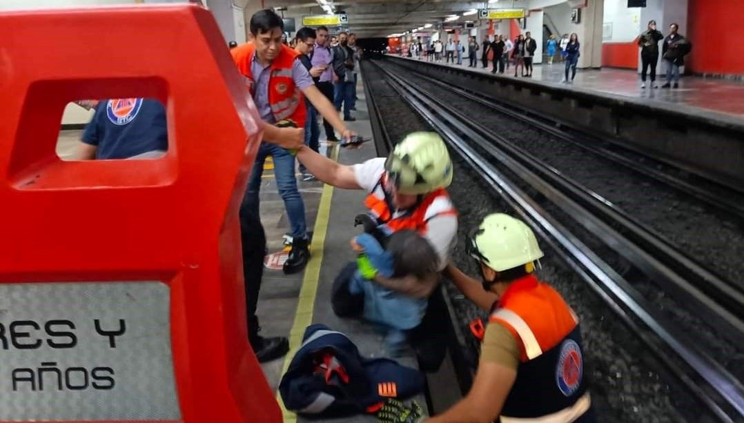 Raylara giren tavuk metro seferlerini aksattı