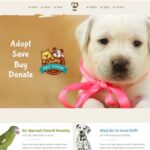 Evcil Hayvan Bakımı: En İyi Beslenme ve Sağlık İpuçları
